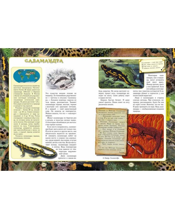 Животный мир нашей планеты