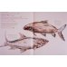 Дополнительное изображение книги «Русская поварня - 200 лет спустя (в коробке)»