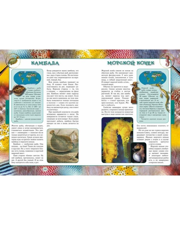 Животный мир нашей планеты