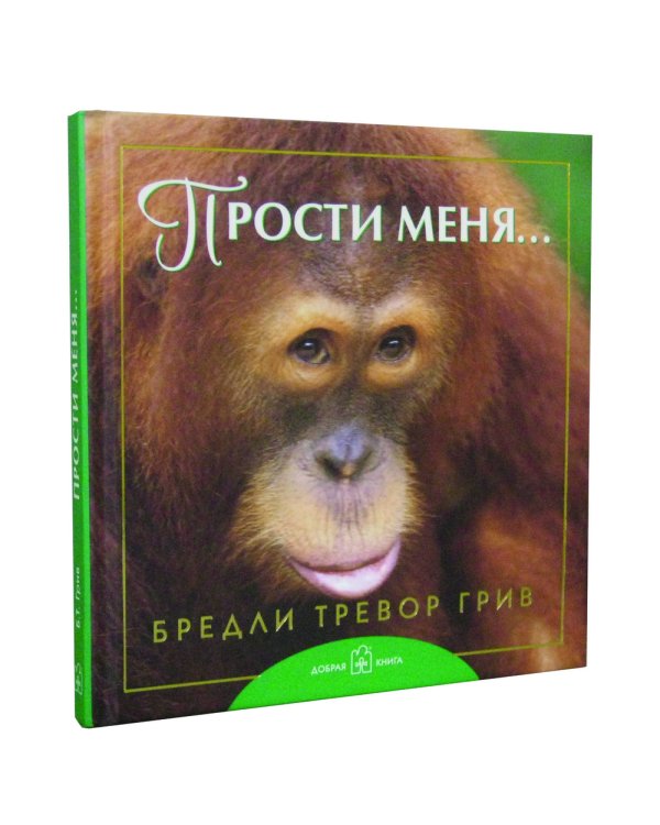 Прости меня...
