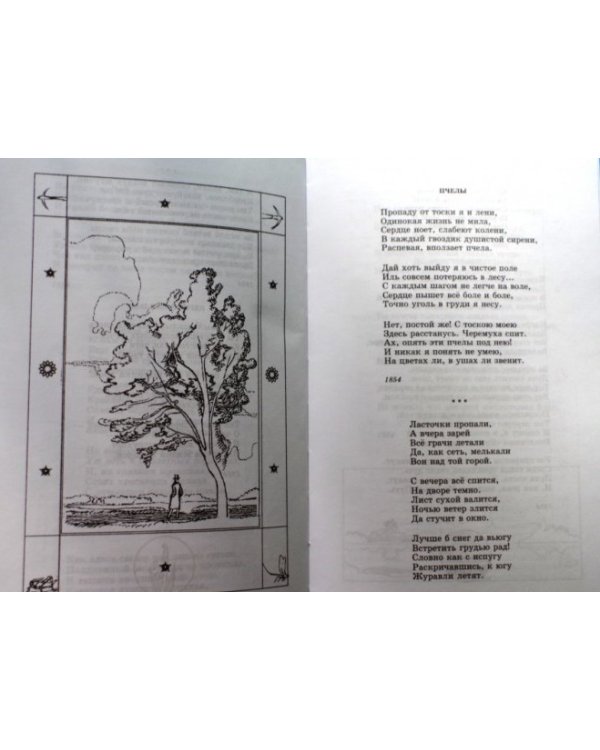 Соловьиное эхо: Повесть Н.П. Суховой о жизни и творчестве А.А. Фета и избранные стихотворения поэта