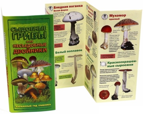 Съедобные грибы и их несъедобные двойники. Карманный гид грибника