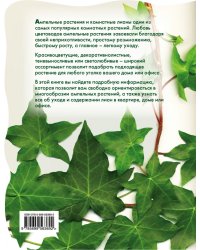 Лианы и вьющиеся растения в доме