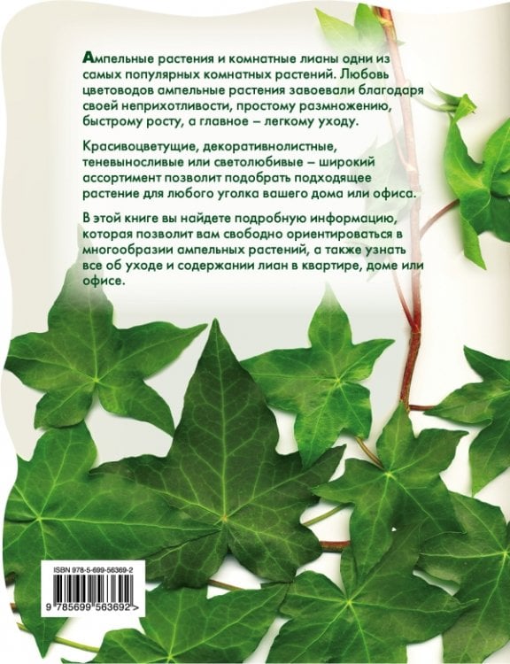 Лианы и вьющиеся растения в доме