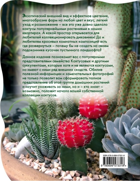 Кактусы в вашем доме