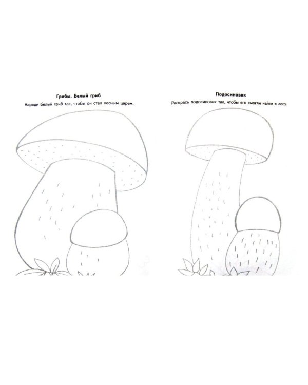 Я рисую природу. Развивающая тетрадь для детей 5-7 лет