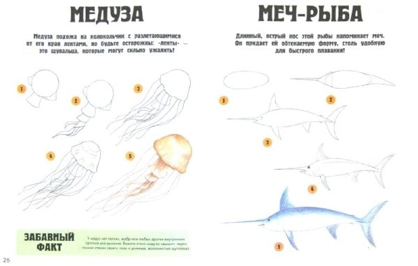 Обитатели моря. Шаг за шагом рисуем 25 различных обитателей моря. Для детей от 6 лет