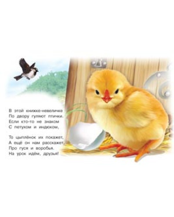 Дополнительное изображение книги «Домашние птицы / Гурина И.»