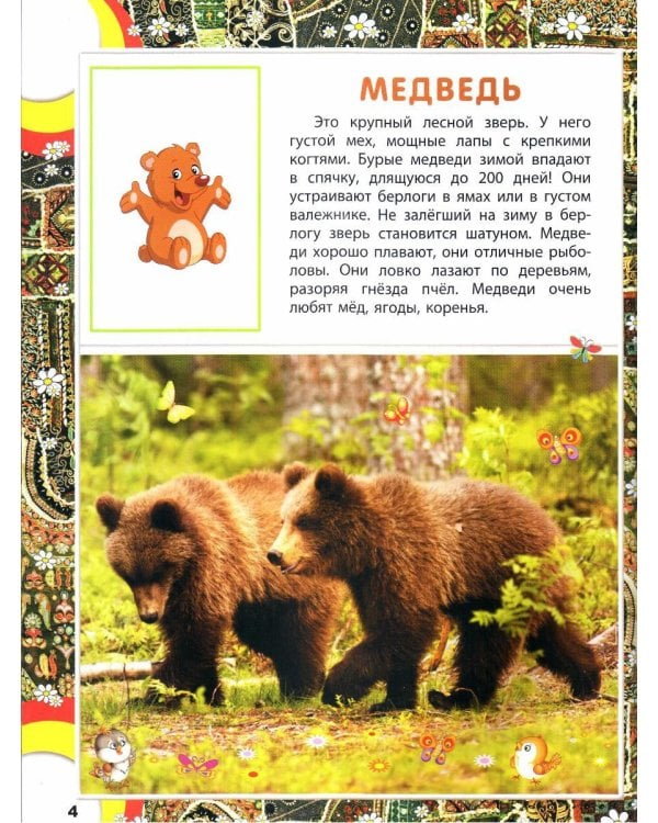 EurAsia. Животный мир Европы и Азии