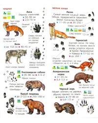 Животные. Определитель для малышей