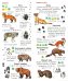 Животные. Определитель для малышей