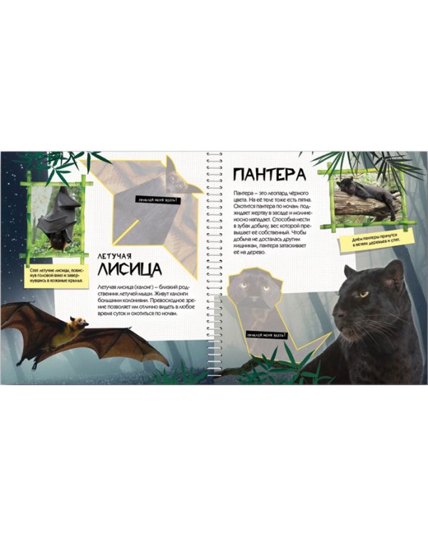 Дополнительное изображение книги «Дикие джунгли»
