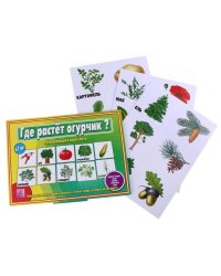 Игра-лото "Где растет огурчик?" Знаем растения, кустарники и деревья, а также плоды, которые на них растут. 4-7 лет
