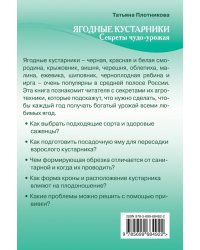 Ягодные кустарники. Секреты чудо-урожая