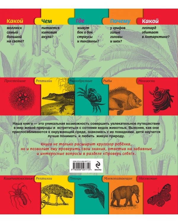 Дополнительное изображение книги «Животные»