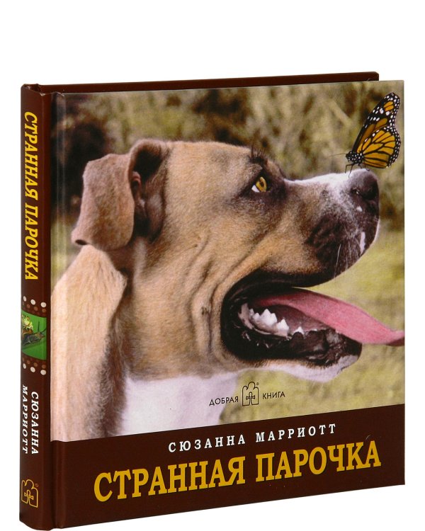 Дополнительное изображение книги «Странная парочка»