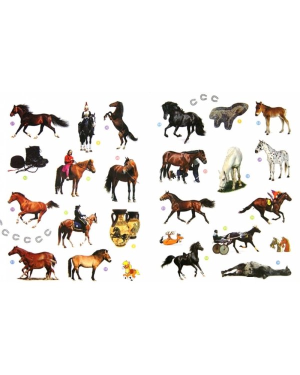 Мои друзья лошади