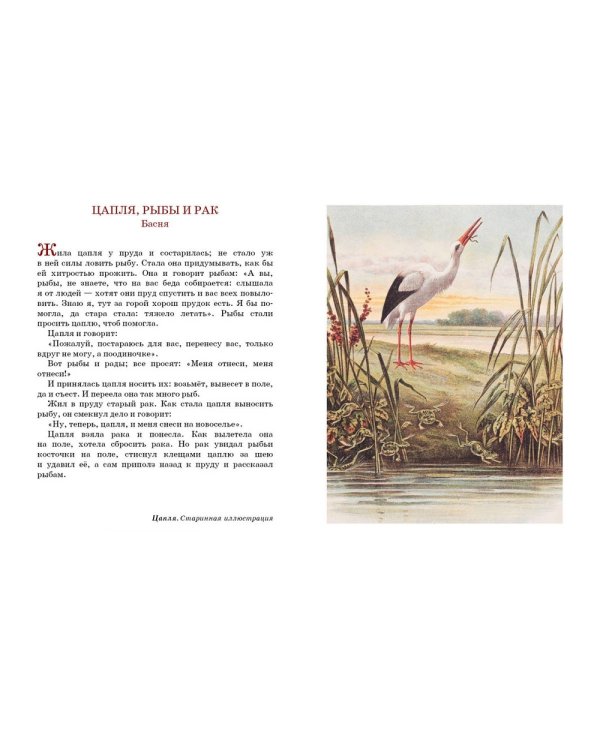 Моя вторая русская книга для чтения. Толстой Лев Николаевич / 