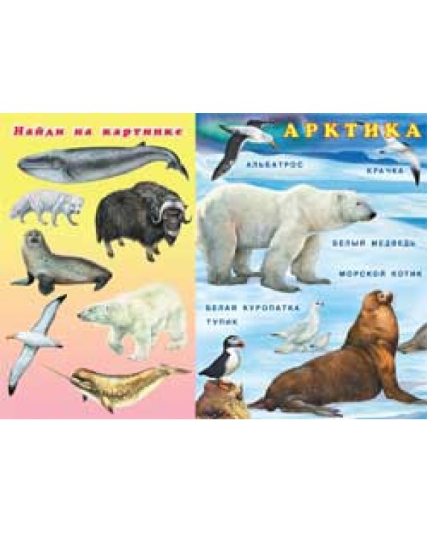 Дополнительное изображение книги «Зоопарк. Животные разных континентов»