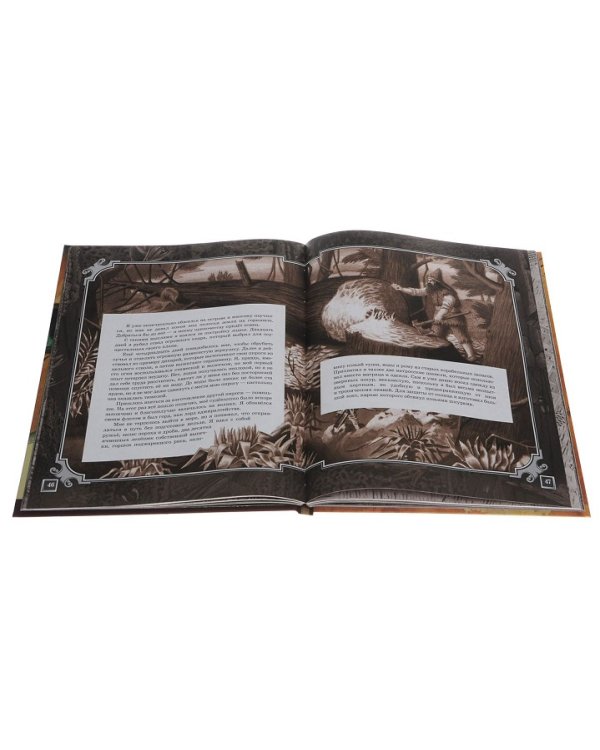 Дополнительное изображение книги «Робинзон Крузо»