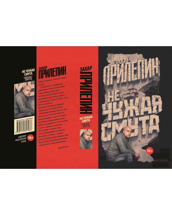Не чужая смута. Один день – один год