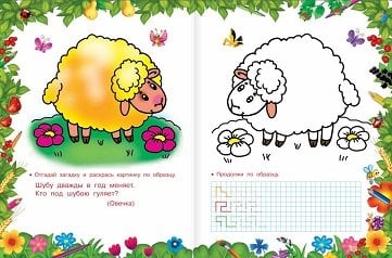 Раскраска с загадками и прописями. Полезная книга для маленьких умничек