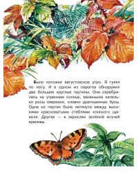 Кто развесил в лесу кружева?
