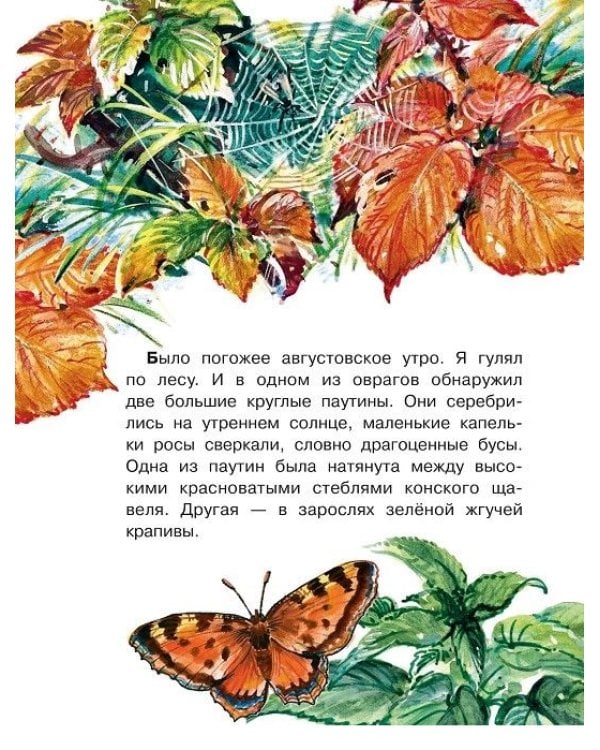 Кто развесил в лесу кружева?