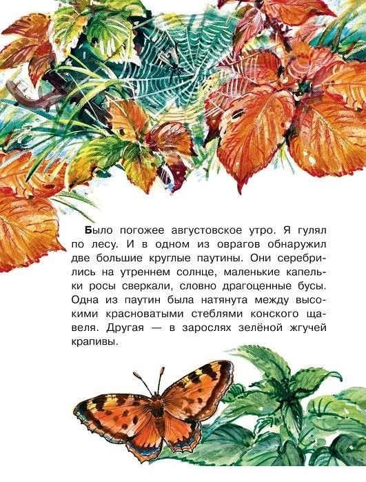 Кто развесил в лесу кружева?