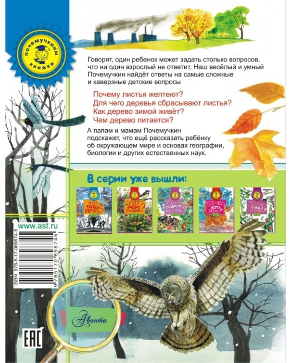 Почему осенью листопад?