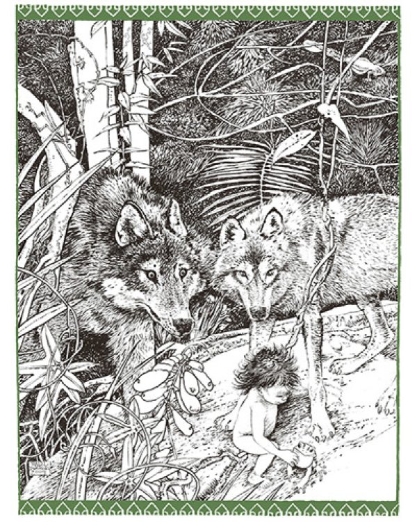 Книга джунглей