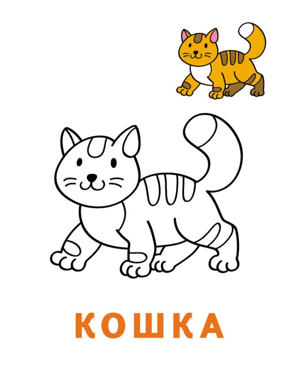 Дополнительное изображение книги «Раскраска-читалка. Домашние любимцы»