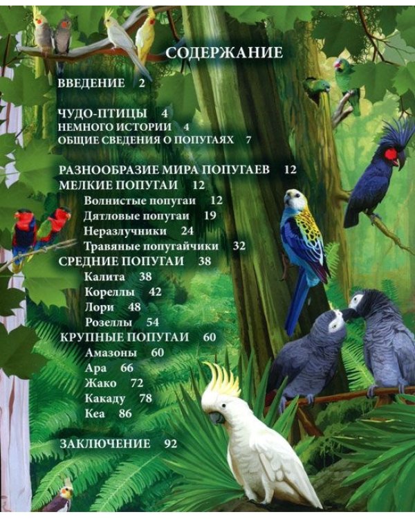 Энциклопедия. Попугаи