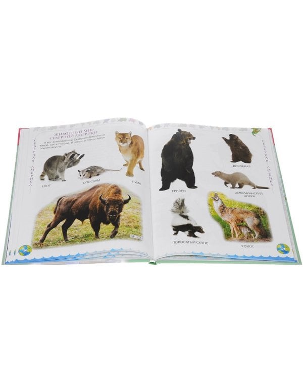 Мир, в котором я живу. Для детей 5-6 лет