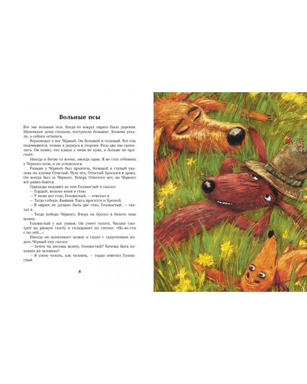 Дополнительное изображение книги «До свидания, овраг!»