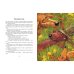 Дополнительное изображение книги «До свидания, овраг!»