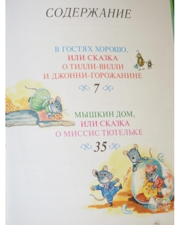 Мышкин дом