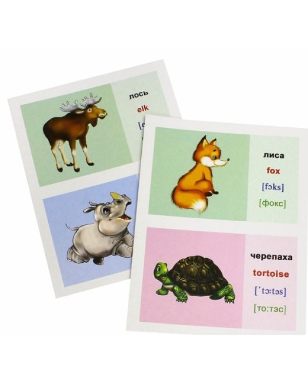 Обучающие карточки. Животный мир на английском