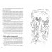 Дополнительное изображение книги «Сказки-подсказки для детей и их родителей. Сказки, рекомендации, игры + листы с рисунками для раскрашивания»