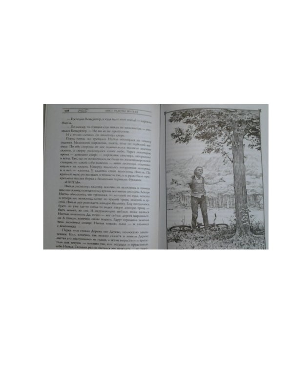 Дополнительное изображение книги «Волшебные сказки»