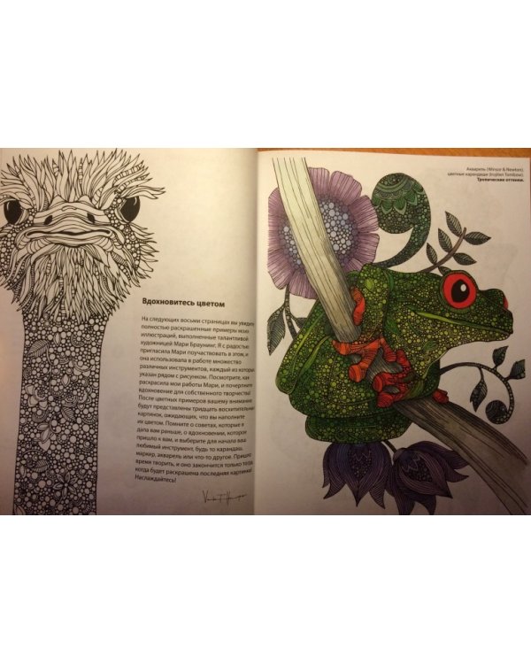 Необыкновенные животные (слон)