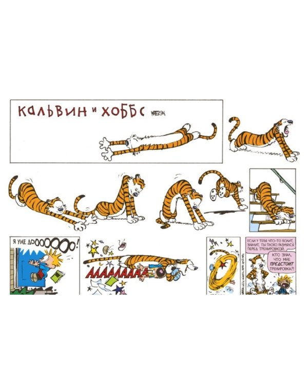 Кальвин и Хоббс. Все дни забиты до предела
