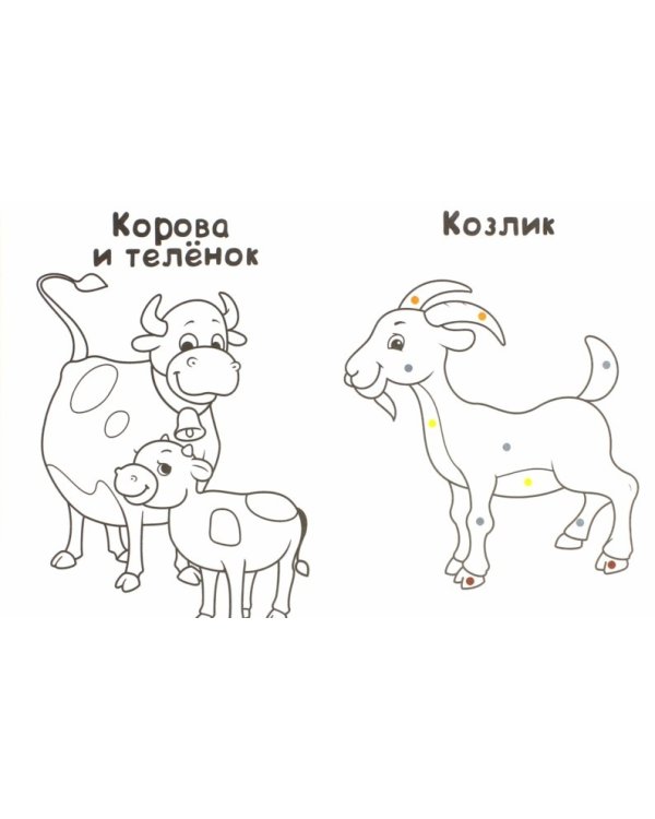 Домашние животные