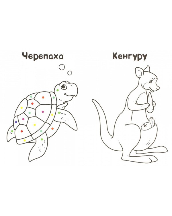 Мир животных