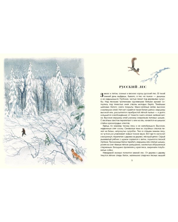 Русский лес