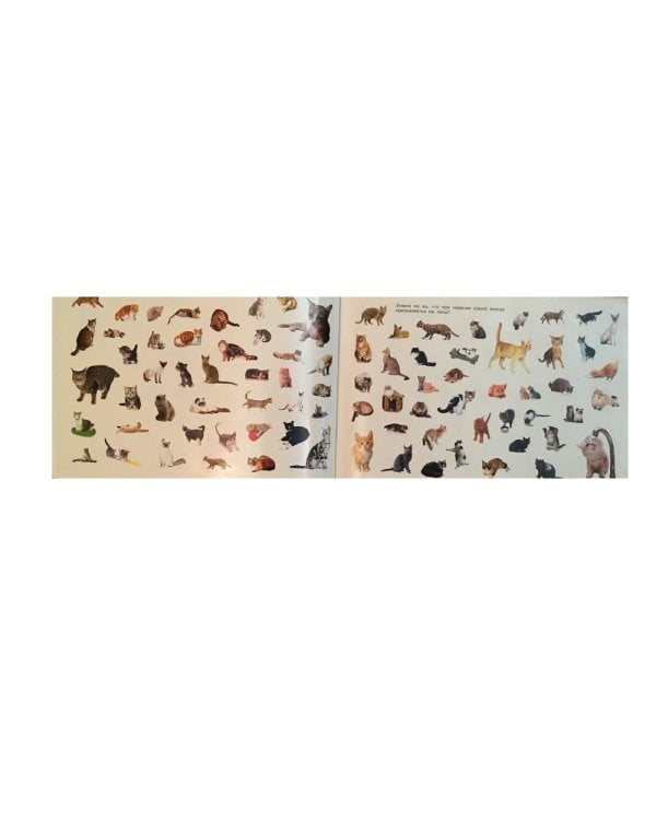 Наклейки "Кошки", А4, 350 штук, в альбоме