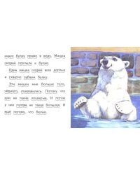 Что я видел. Про белых мишек