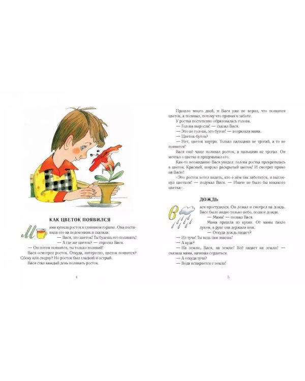 Как цветок вырос