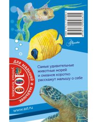 Чудеса подводного царства