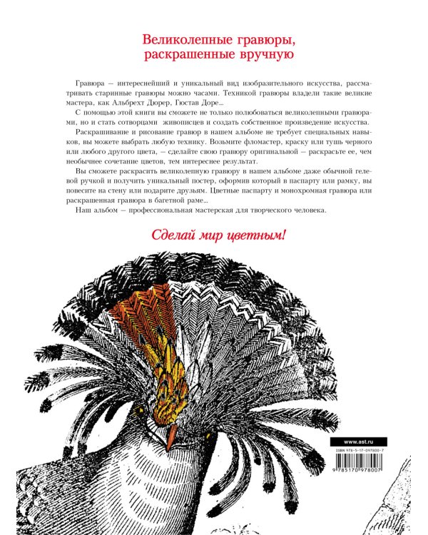 Планета птиц